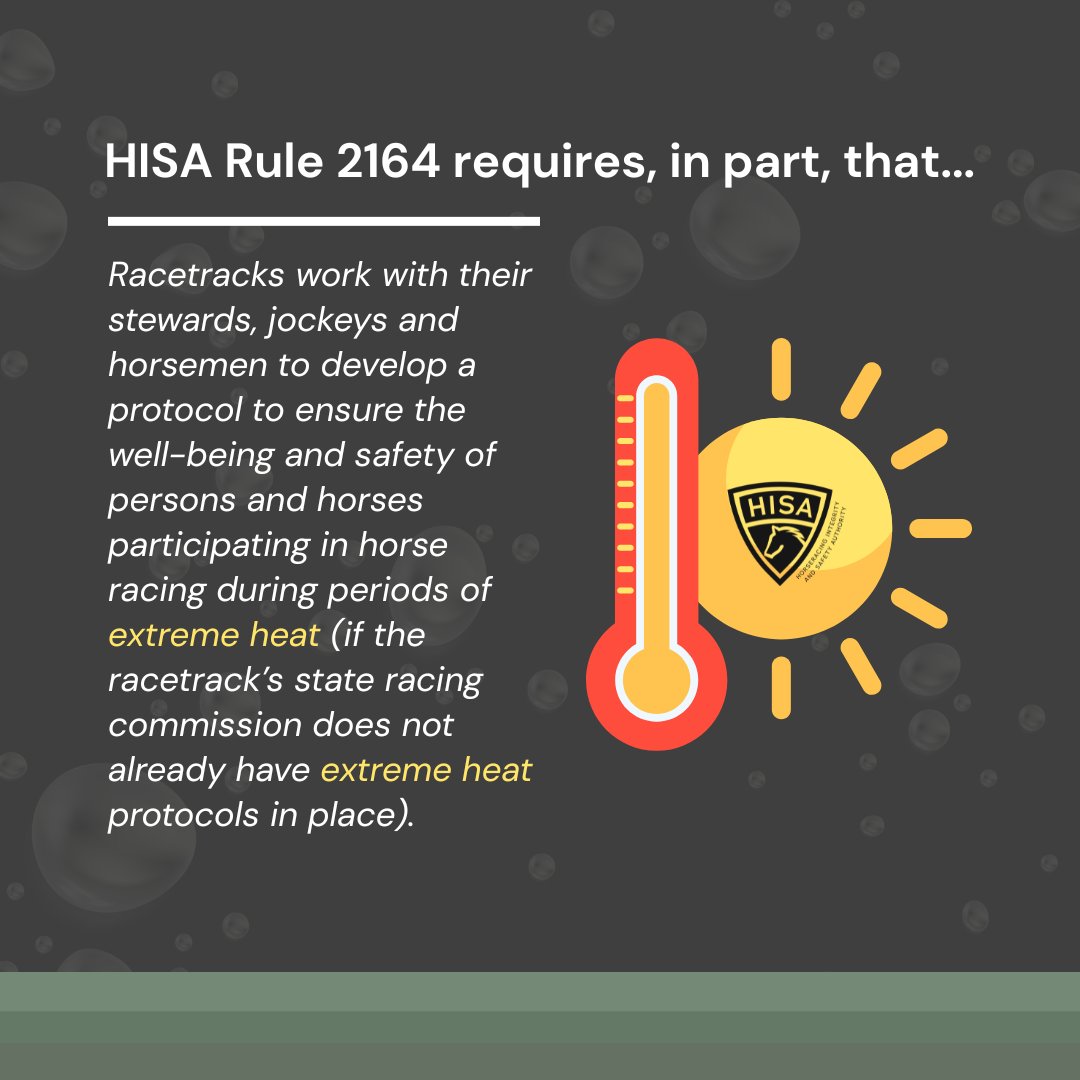 KNOW YOUR RULES 📃❗

With extreme heat across the country comes safety concerns for horses and humans alike.

Learn more about the requirements for racetrack-specific protocols here: bit.ly/3HVuQIY

#Horseracing #HeatAdvisory #Summer