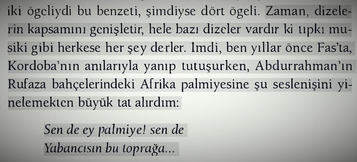 Belki de her kök daha derine çürümek içindir.