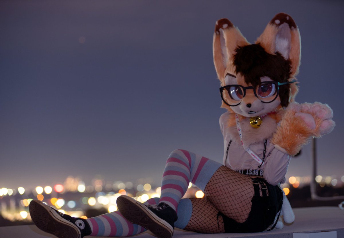 🌃🐈🌃
📸<a href="/miilobax/">Miilobax</a>
#furry #fursuit #fursuiter #Femboy