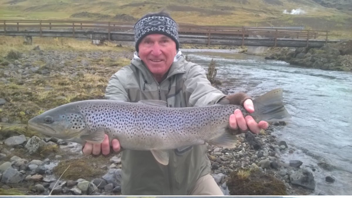 Looking through some old photos and found this nice brown I caught in Iceland.