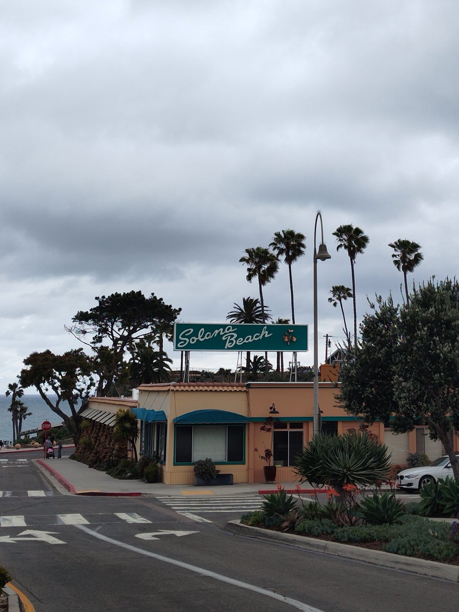 Silly Dragon tweet media