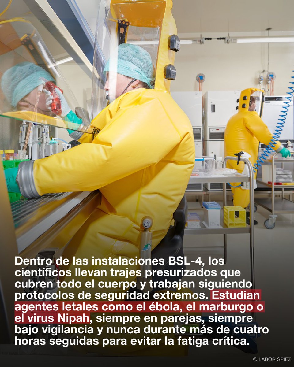 Durante 100 años, el Laboratorio de Spiez en Suiza ha protegido silenciosamente al mundo de las amenazas biológicas, químicas y nucleares más peligrosas.

Mira cómo lo hacen 👇