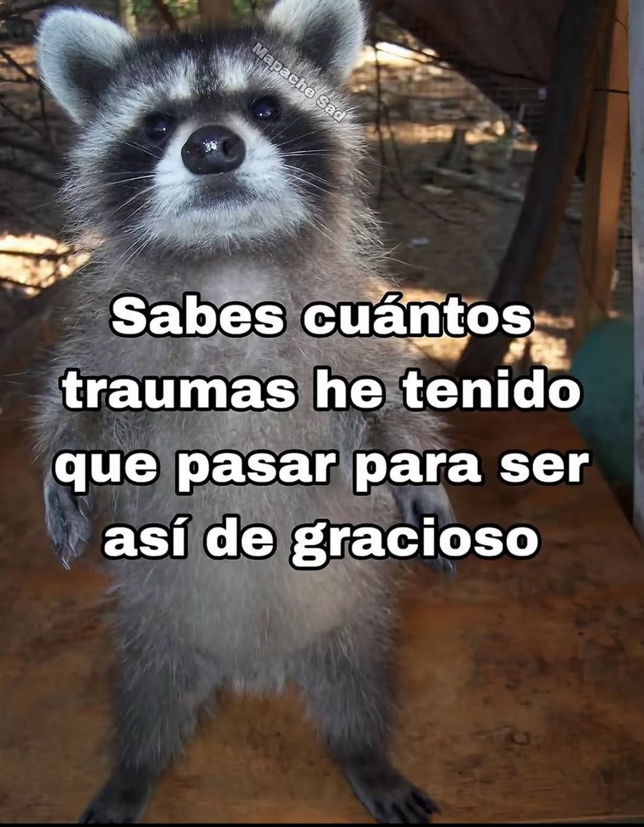 piña sin pizza (@skereunpesado) on Twitter photo 