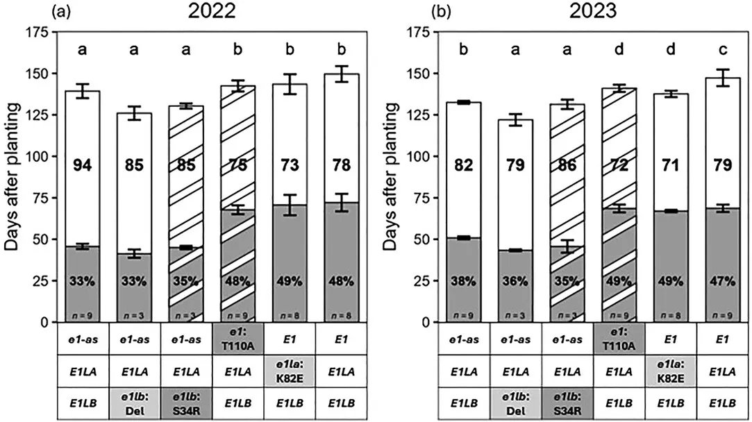 A new study discovered novel versions of #soybean #maturity genes from wild types, tweaking plant development without altering #flowering time. A step closer to improving yield &amp; adapting soybeans to diverse climates!

Read full article here:  doi.org/10.1002/csc2.7…