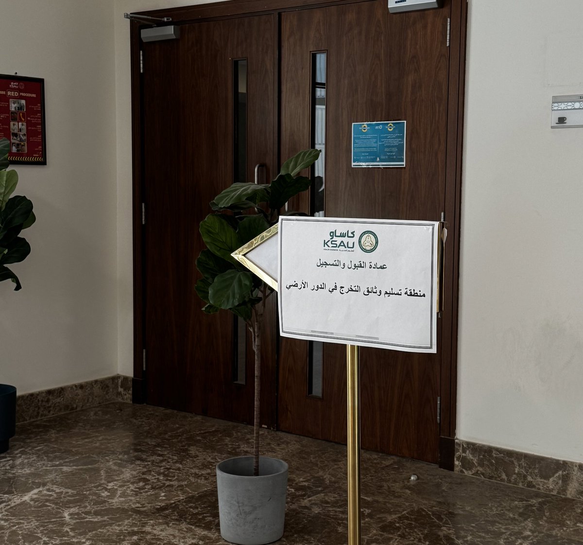 DEEMA|🐼 tweet media