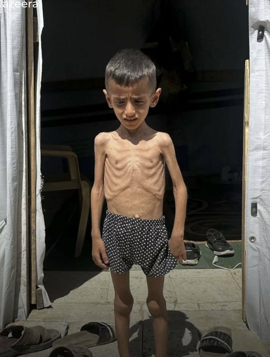 majed Aqel tweet media