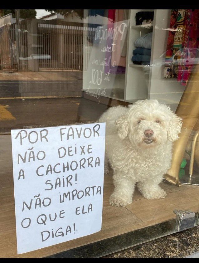 24 de junho de 2025