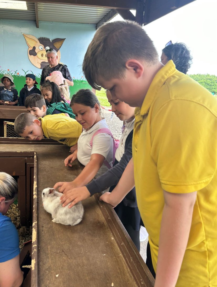 Camstradden Primary (@camstraddenps) on Twitter photo All of the children in Camstradden had a wonderful end of year treat visiting <a href="/BriarlandsFarm/">Briarlands Farm</a> . 🚜🐄🐖🐑🛝A great time was had by all! Thank you to our Parent Council for ensuring every child received a small memento of their trip! 🥰 #celebratingsuccess #makingmemories All of the children in Camstradden had a wonderful end of year treat visiting <a href="/BriarlandsFarm/">Briarlands Farm</a> . 🚜🐄🐖🐑🛝A great time was had by all! Thank you to our Parent Council for ensuring every child received a small memento of their trip! 🥰 #celebratingsuccess #makingmemories