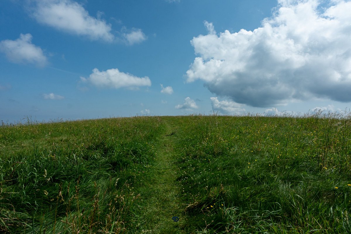 9Devyllc's tweet image. Good Gosh MAX PATCH in North Carolina took my breath away… WOW.. YouTube video coming soon.. a true gem.