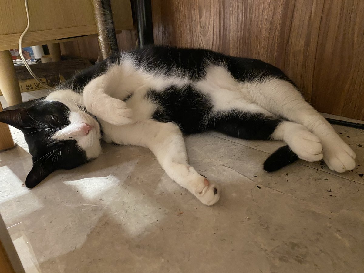 我趕工！！！！
你睡覺⋯⋯⋯⋯