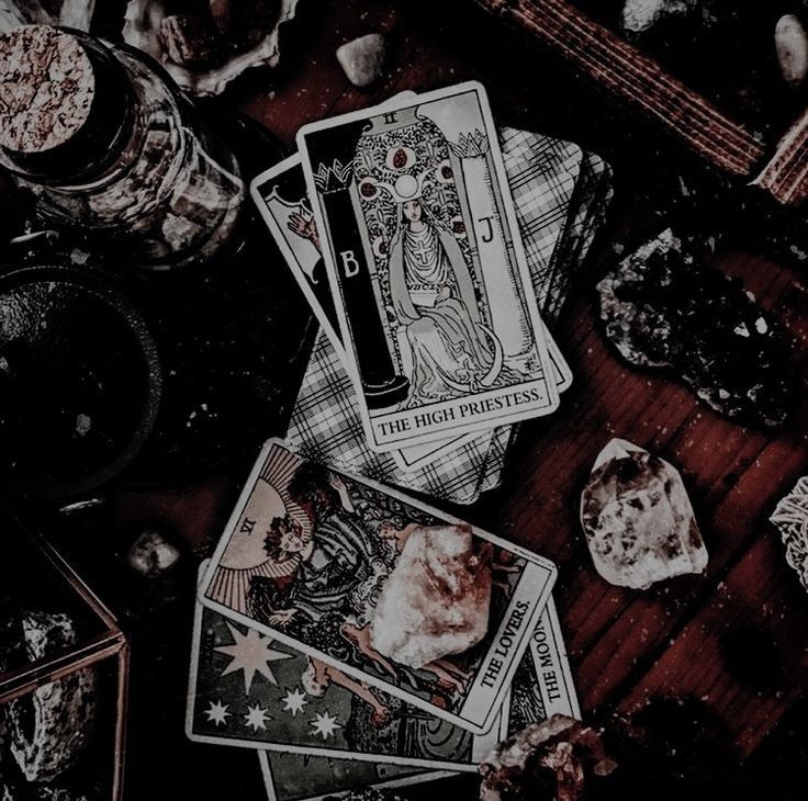 ㅤㅤO dia está sendo produtivo hoje, só essa manhã três clientes vieram fazer tiragem de cartas. Minha cigana deixou claro algumas coisas, o amor é o veneno da alma. O pagamento sempre é o melhor de tudo... sangue direto da fonte.