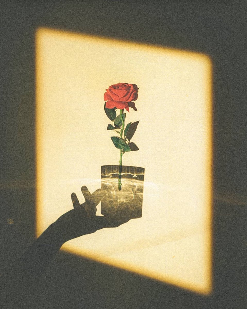 To Love and be Loved ••• 💛🌹