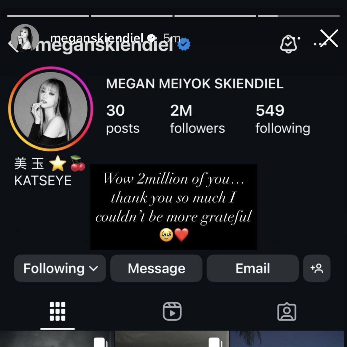 the concept of megan following herself