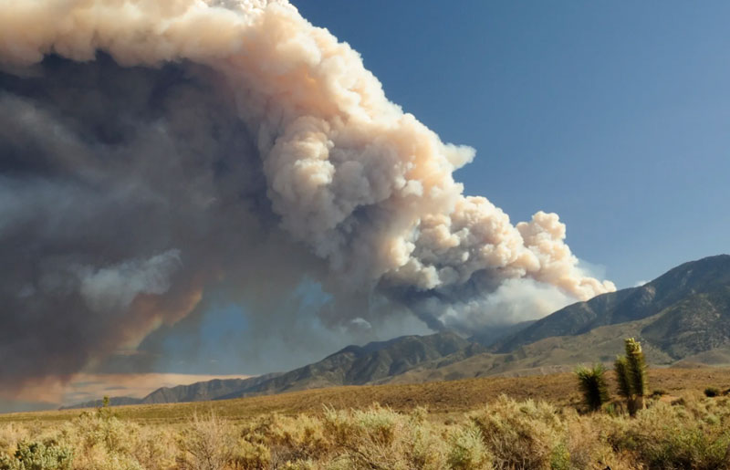 columbia_ncdp's tweet image. 🔥The 2025 U.S. wildfire season is forecast to be above normal, highlighting the need to leverage emerging technologies for hazard risk mitigation. Read this LEAP panel discussion on using AI for predicting wildfires and #heatwaves. ow.ly/JJtA50WfwhU @columbiaclimate
