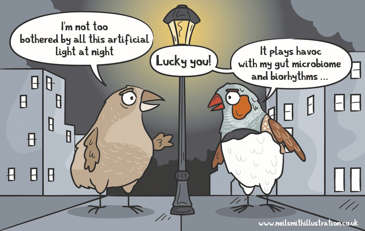 In urban areas, darkness is increasingly rare, so how is our addiction to light at night affecting other species? Dehua Wang (Shandong University, China) &amp; co show that Bengalese finches are relatively unaffected but zebra finches are in bad shape

journals.biologists.com/jeb/article/22…