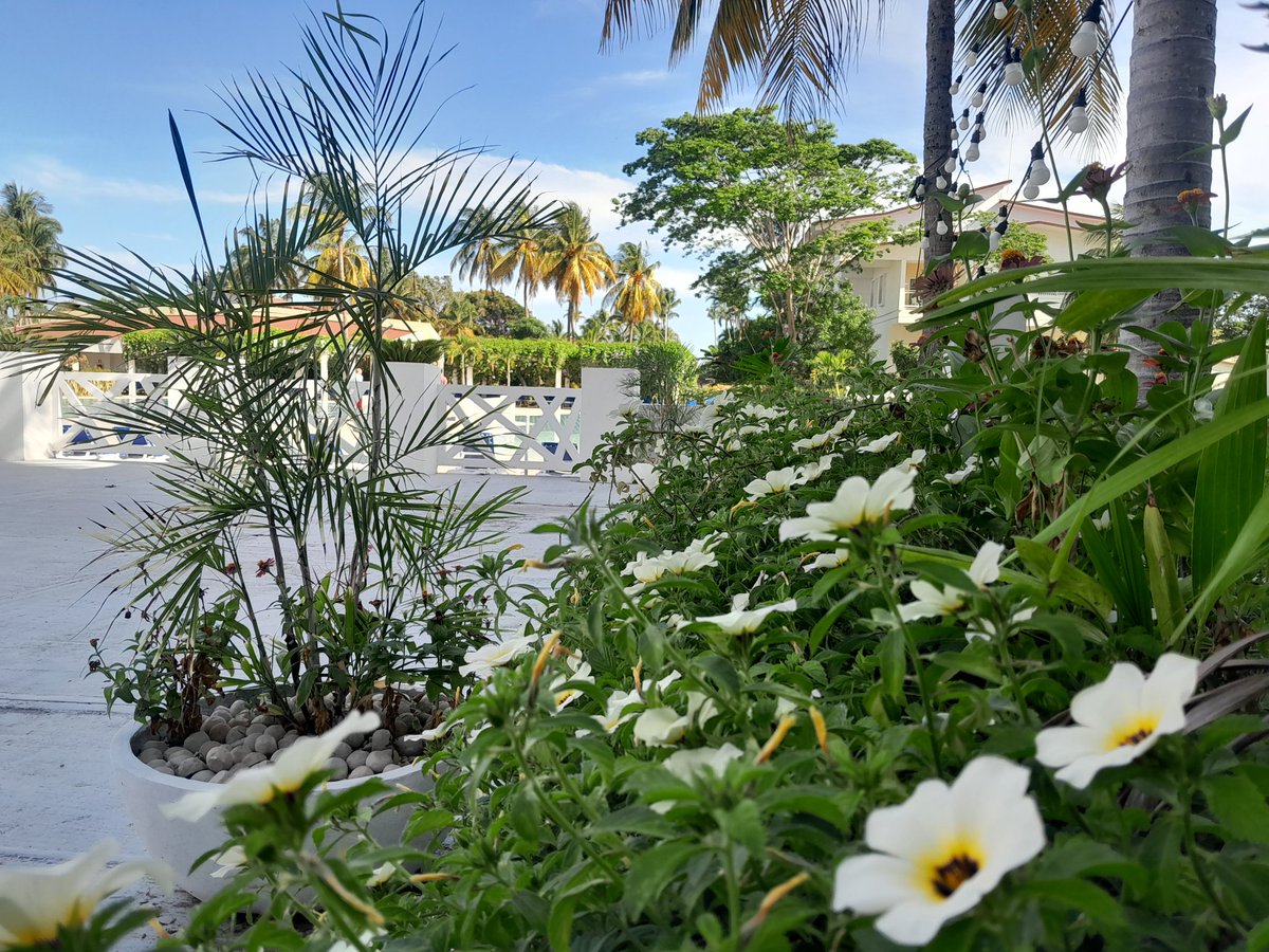 La #Naturaleza tiene su magia. Cuida de ella y estarás contribuyendo a embellecer el entorno.🤩🌼