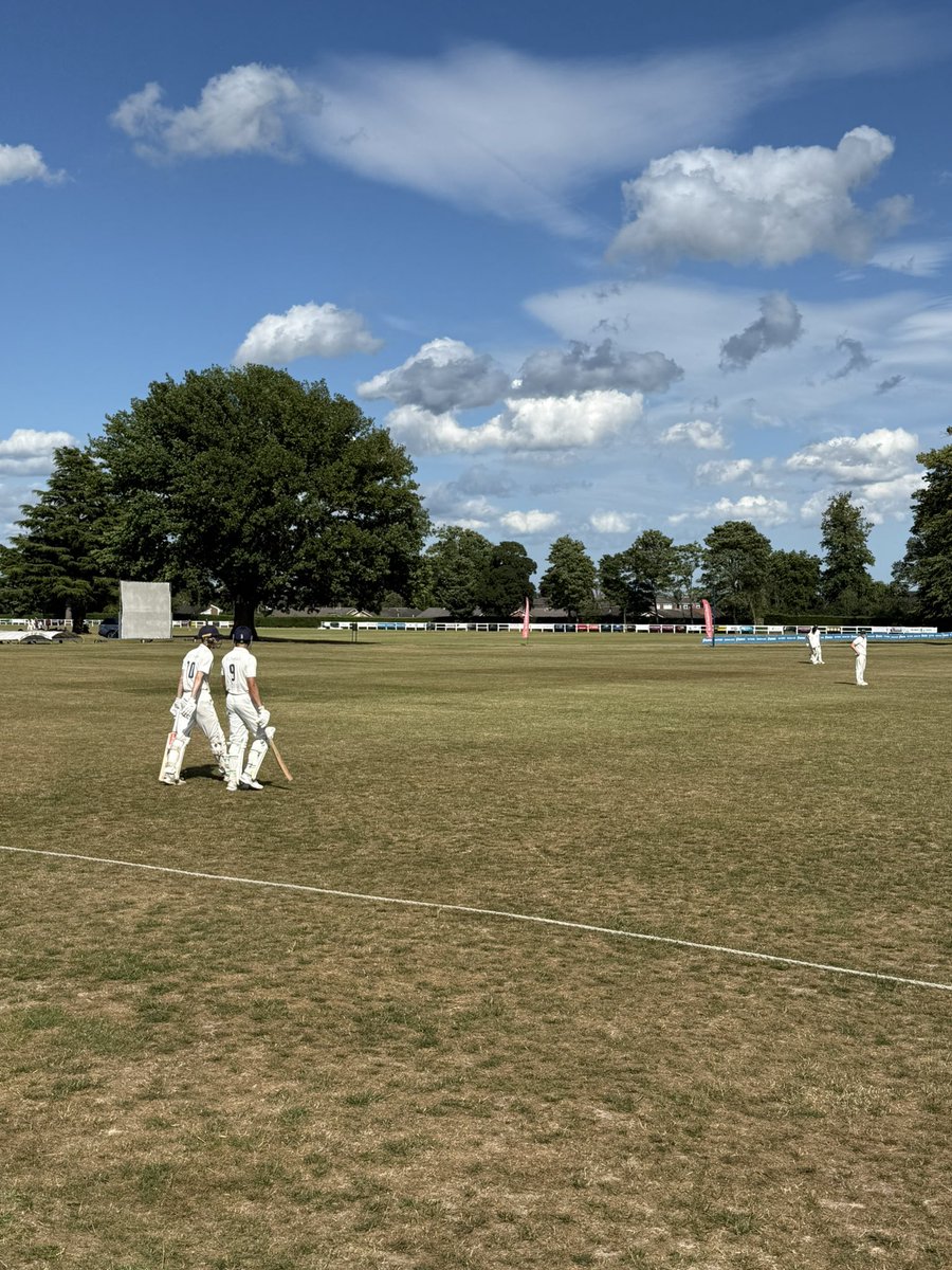 Eltham College Cricket tweet media