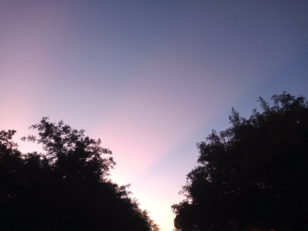 Me gustan las mañanas,
antes que levante el sol,
disfrutar tu compañía,
cuando me entregas tu amor.
@acaentrerunners @manicomiorunner @comunirunners @sumandokmx @corroamipaso @meencantacorrer @canalrunning @fenixrun_mexico @runsalud20 <a href="/pasion_running/">*PASIÓN RUNNING*</a> #yomarco #adidas