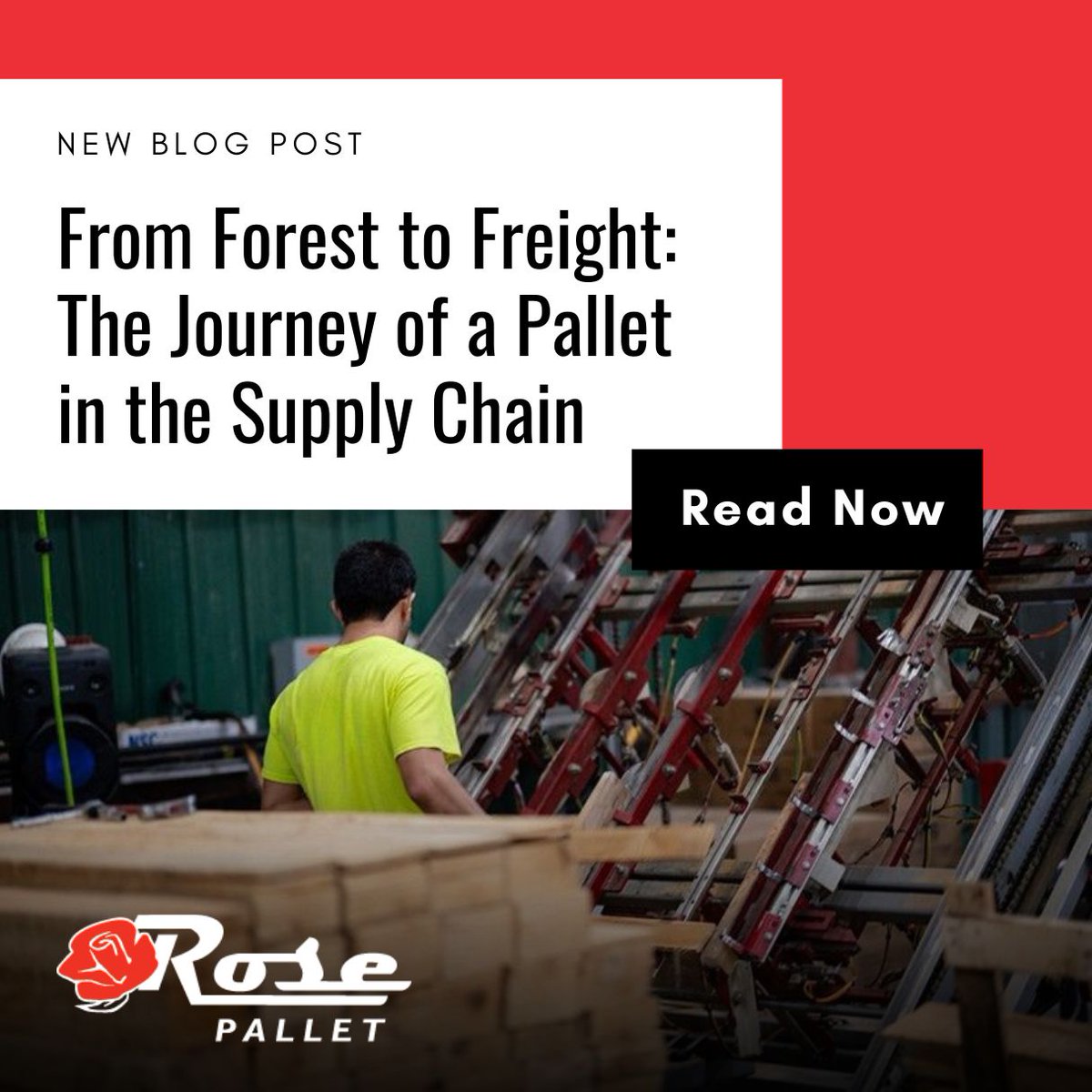 RosePalletIL's tweet image. When you think about the #supplychain, what comes to mind? Warehouses. Trucks. Inventory Systems. But essential to it all, there’s the #pallet. Learn how it moves through the chain keeping your goods safe.  
🔗rosepallet.com/blog/pallet-jo… 
#Logistics #Sustainability #CircularEconomy