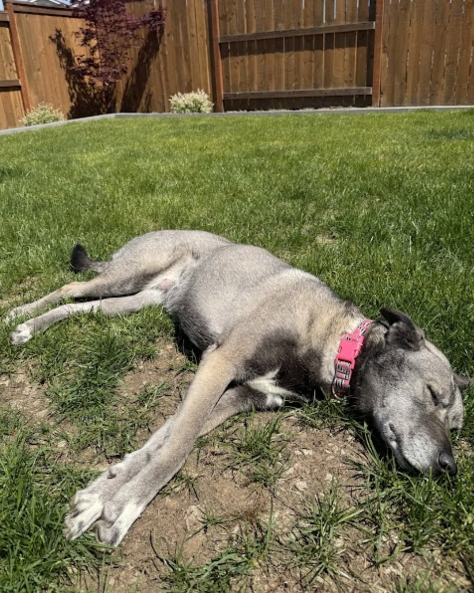 That’s one way to cover a bare spot.