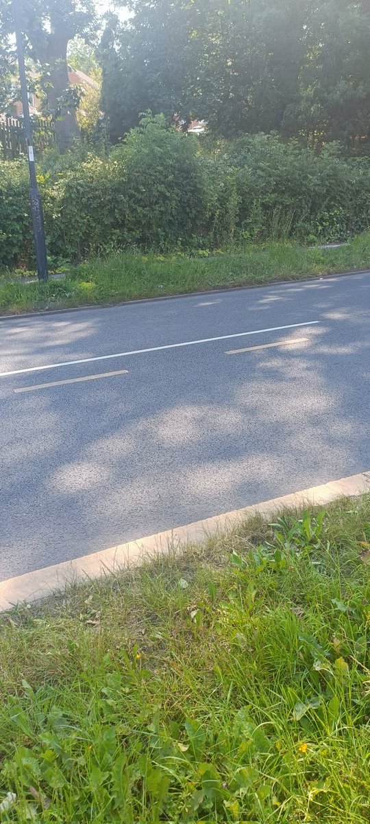 simoncolliver's tweet photo. @SheffCouncil you haven't cut the grass or hedges now since April!! It'll soon will be July get the bloody grass cut or give us back our money you're stealing from us you bunch of thieves twats!! #fucktheestablishment https://t.co/qywcRMSL9N