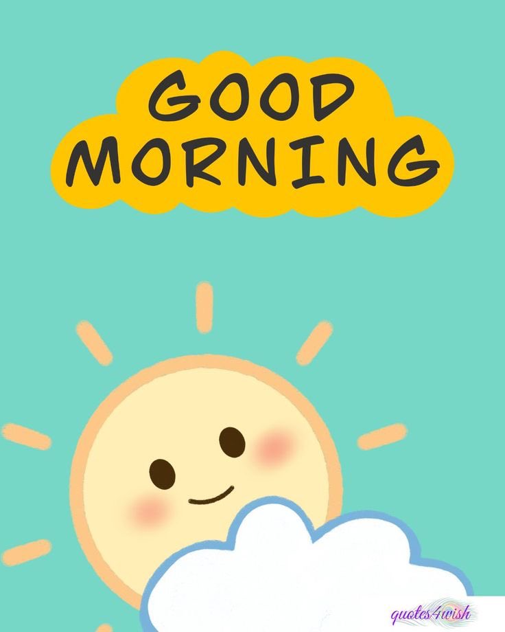 Megan Bernard tweet media