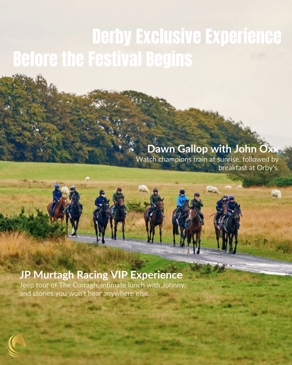 HorseCountryIRE's tweet photo. From #DawnGallops with #JohnOxx to #Kildangan, the #IrishNationalStud, #Coolmore, #Ballydoyle (yes, Ballydoyle), and more, Horse Country takes you deeper Irish Derby experience.๐ฎ๐ช๐ซ
๐ Full itinerary and booking: Link in bio
#IrishDerby #DerbyWeek2025 #TheCurragh #HorseCountry https://t.co/iZv5oHDzZO