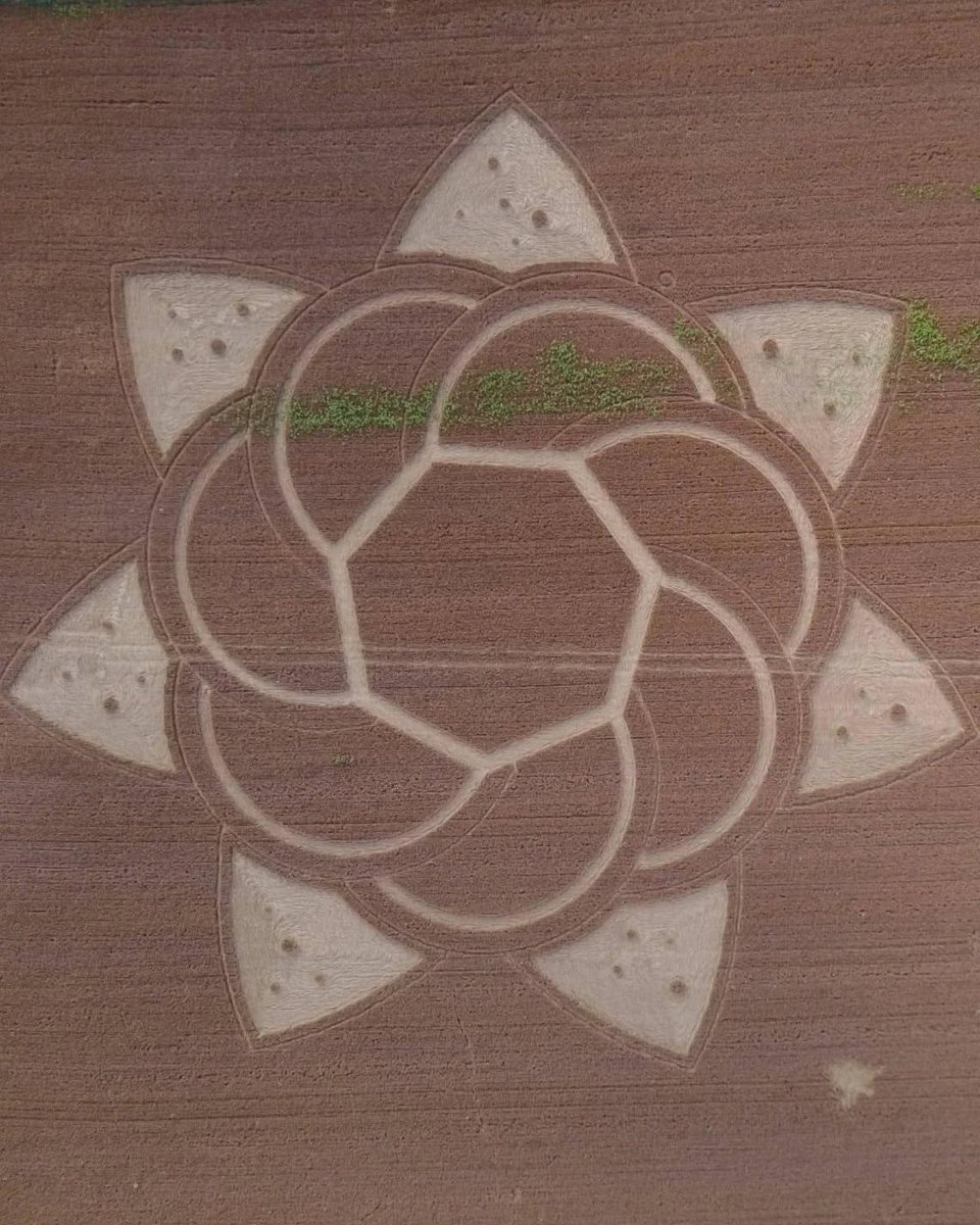 🚨 The New Crop Circle that appeared in Italy

#Ufotwitter