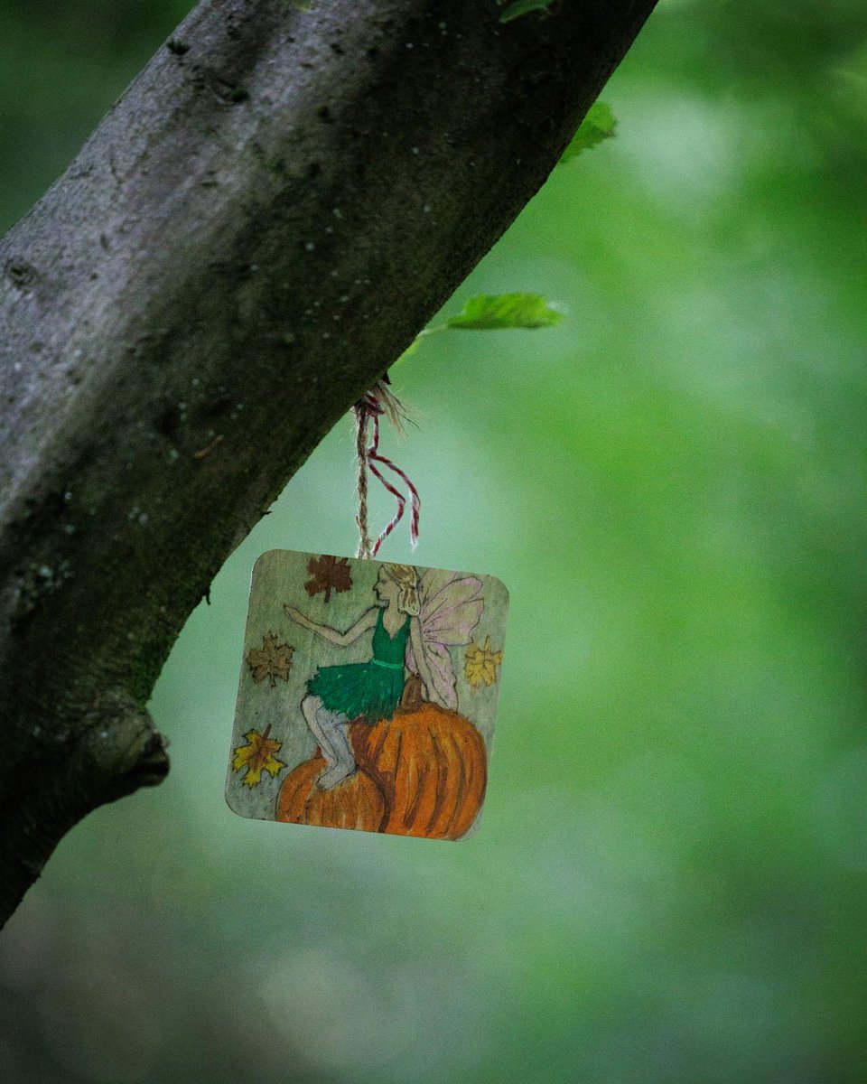 Haileybury Community Action Volunteering tweet media