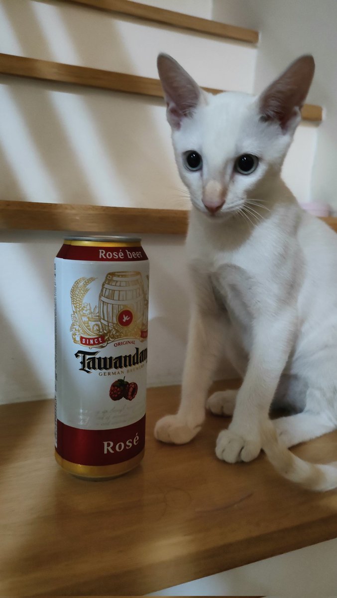 Happy Birthday to Me🎂🍻
#อยุธยา