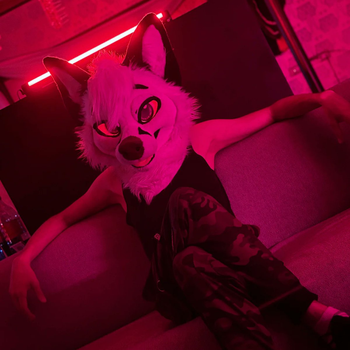 Wyle 🇮🇹 (@whoyouleastexp_) on Twitter photo You think you know me? Maybe you haven't seen all yet 😏
📷 <a href="/BlazeShadeWolf/">b l a z e 🦮 🔜MEGAPLEX🩷</a>
🗓️ #FurizonZenith
#furry #furryfandom #fursuit #fursuiter #coolfurry You think you know me? Maybe you haven't seen all yet 😏
📷 <a href="/BlazeShadeWolf/">b l a z e 🦮 🔜MEGAPLEX🩷</a>
🗓️ #FurizonZenith
#furry #furryfandom #fursuit #fursuiter #coolfurry