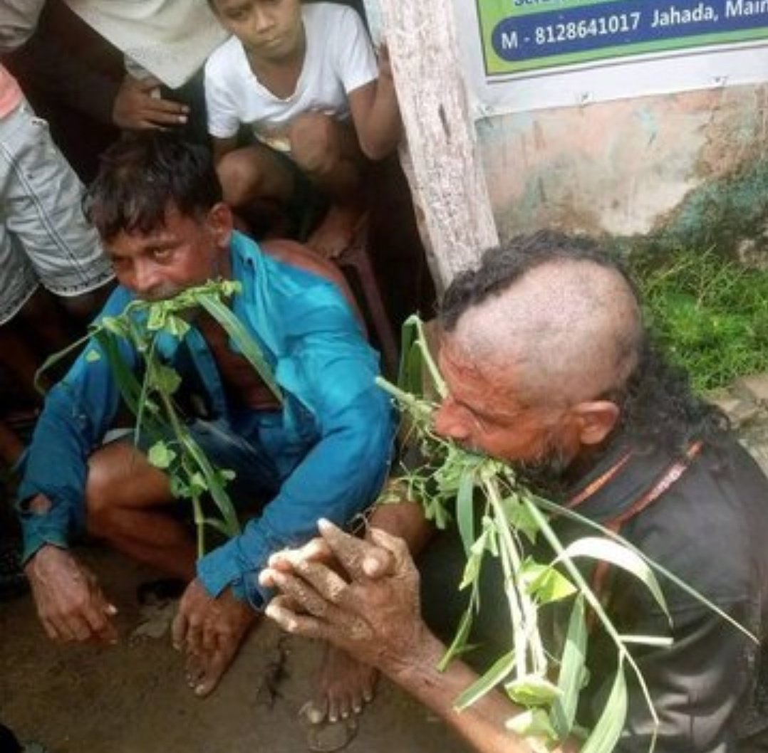 देश में कानून भी है 
देश में मानवाधिकार आयोग भी है

फिर भी ऐसी तस्वीरें सामने आना दुर्भाग्य पूर्ण है
 
<a href="/HMOIndia/">गृहमंत्री कार्यालय, HMO India</a> <a href="/India_NHRC/">NHRC India</a> 
#HumanityFirst