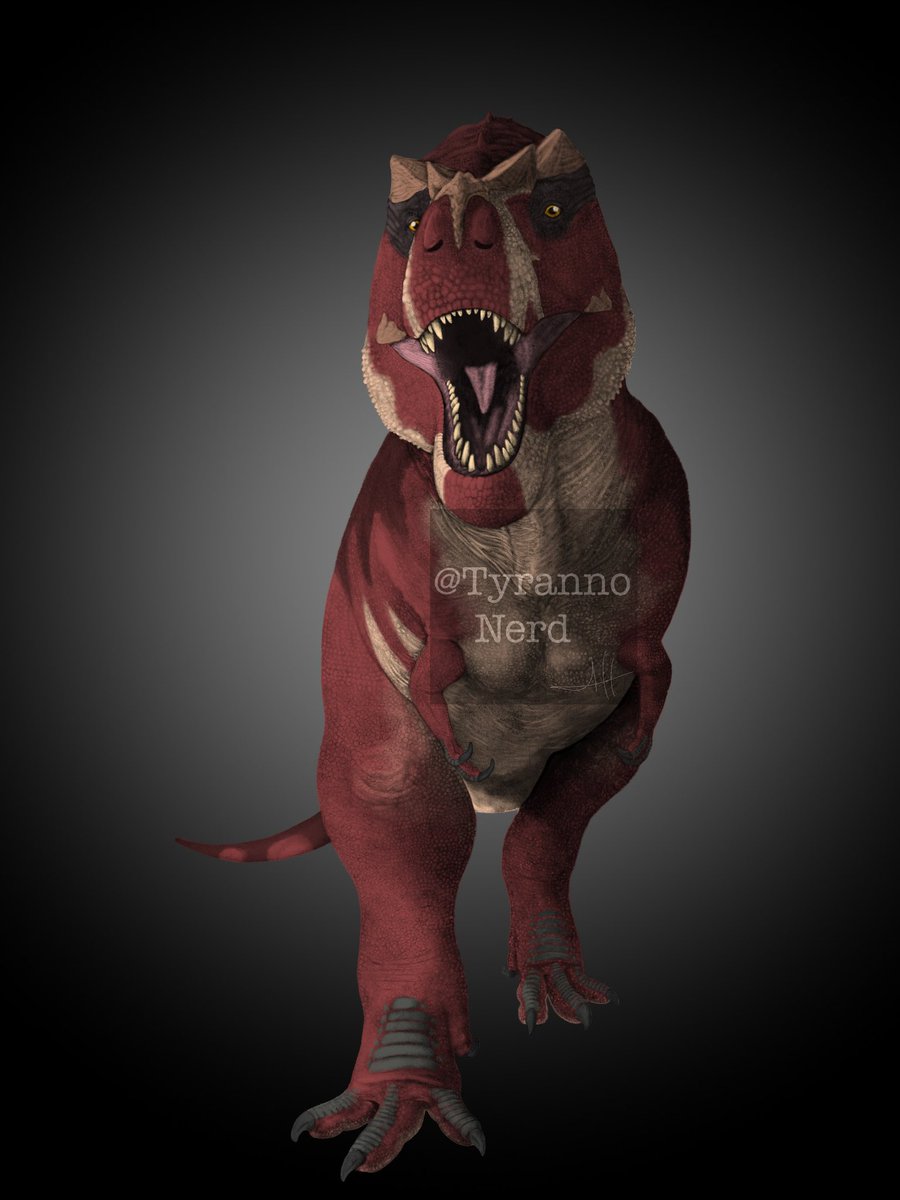 TyrannoNerd's tweet image. Another Rex is done! #paleoart #dinosaur #fossil