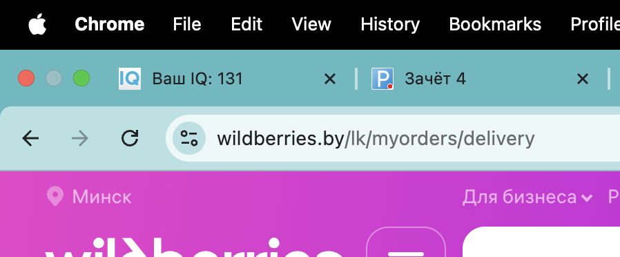 lizvwl's tweet photo. у вас есть та самая вкладка в браузере которую вы никогда не закрываете просто так? оставляю вклакдку с айкью просто так... для души https://t.co/lXhpKiesgg