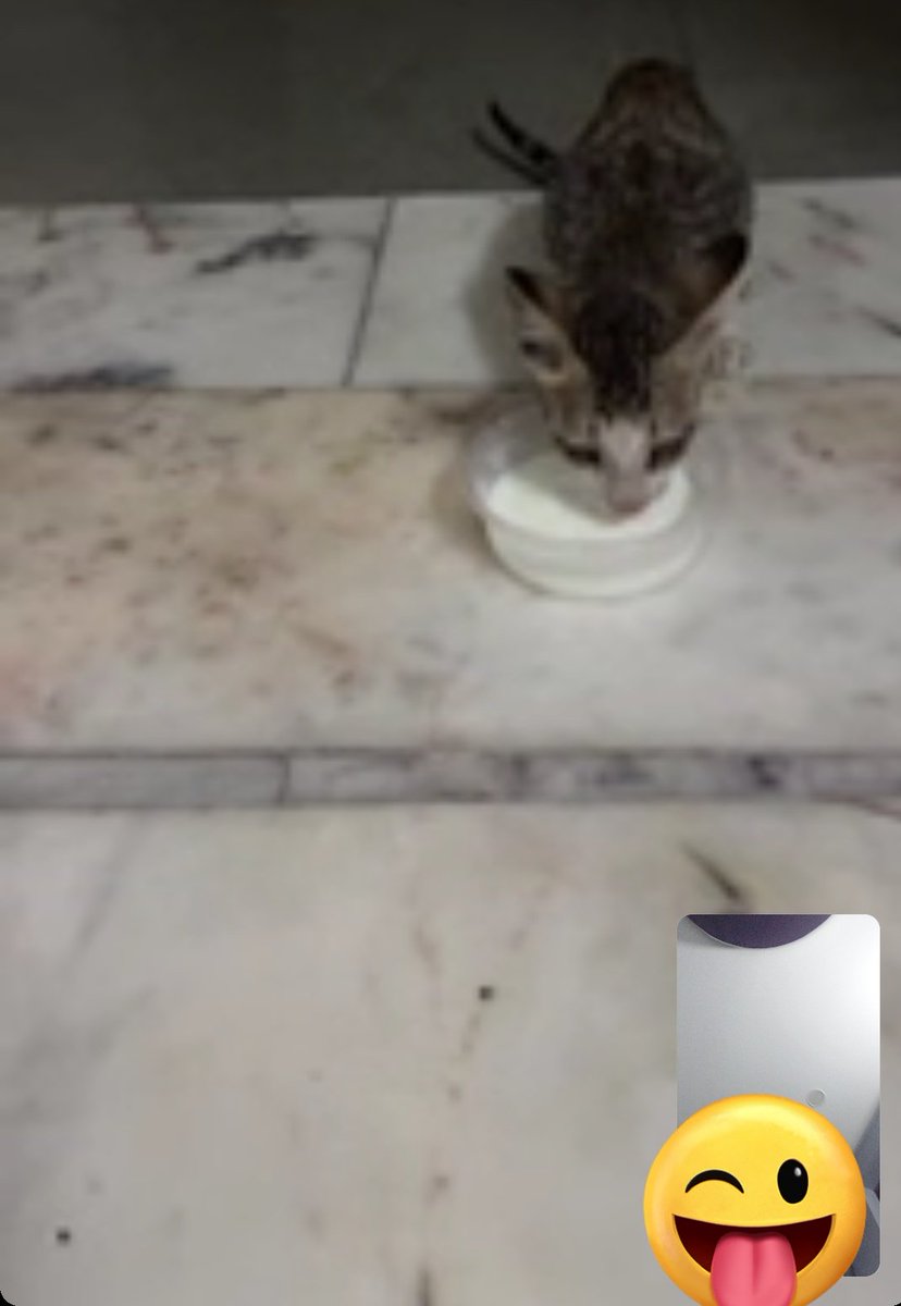zeeosis's tweet photo. #catcall https://t.co/v9uzTIDN4W