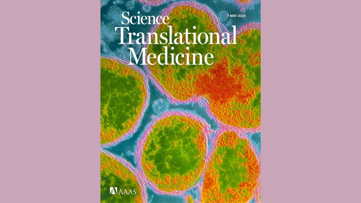 UniOfSurrey's tweet image. Early trial results show a new meningitis vaccine developed by the University of Oxford and Professor Christine Rollier from our School of Biosciences is safe and triggers a strong immune response.
🔗 bit.ly/40l88A1
@christinerollie
#VaccineDevelopment #MenB…