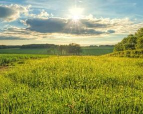 Ps 23:1 – The LORD is my Shepherd; I shall not want. He makes me lie down in green pastures. 

Jesus Christ is the good Shepherd who lay down his life for his sheep. He leads us to everlasting life on the new earth. 

#ChristsPsalmsourPsalms #theLordismyShepherd