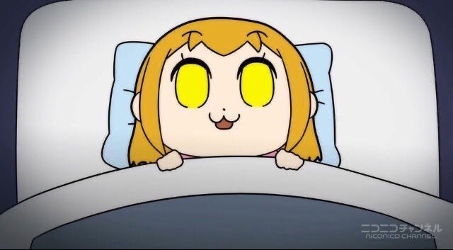 Yukidaruma_4488 tweet picture