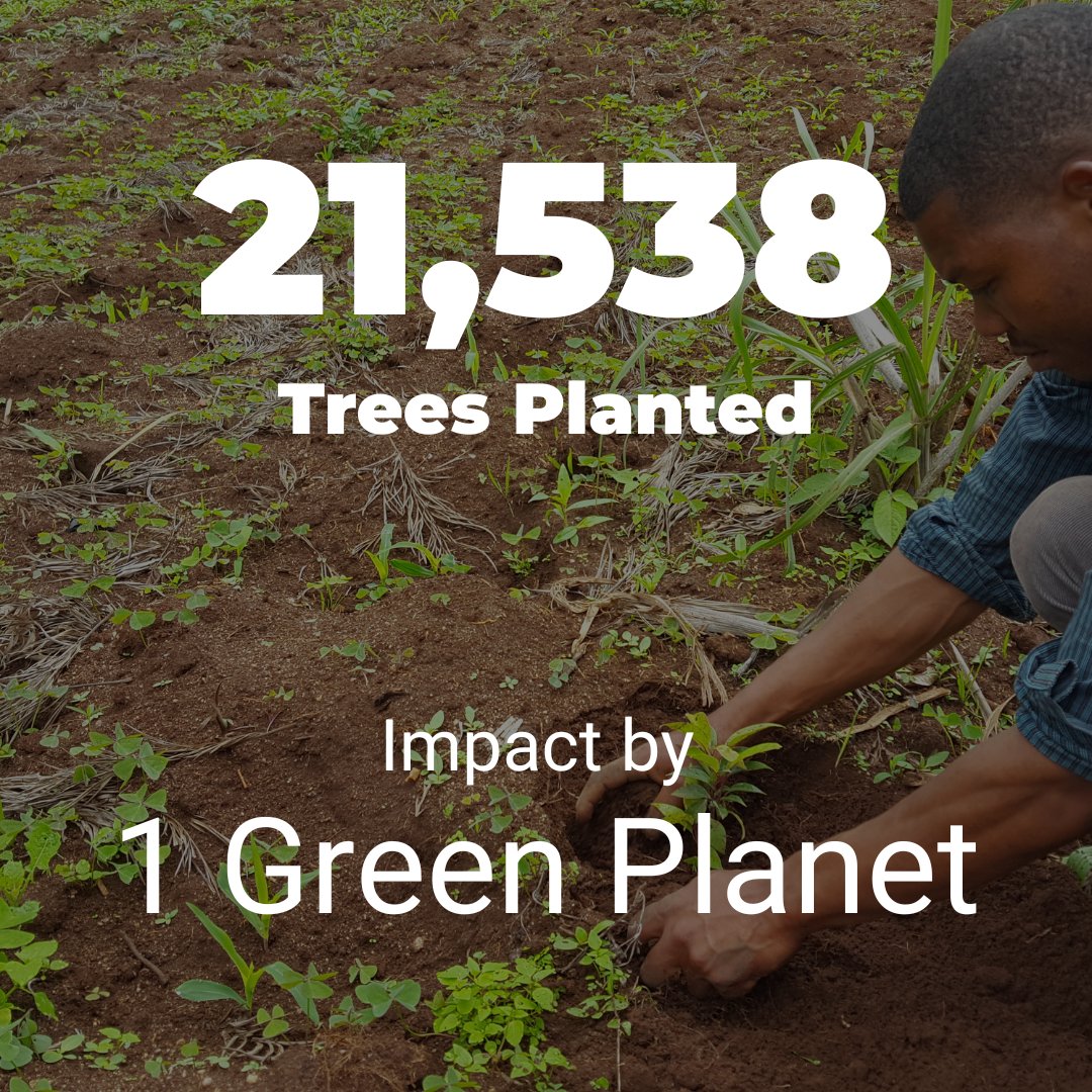 ForestNation tweet media