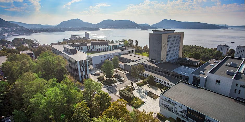 EURO Working Group on Stochastic Optimization tweet media