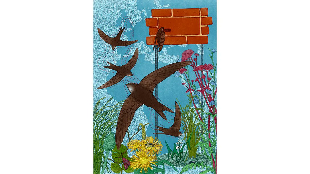 HAMPTON COURT PALACE GARDEN FESTIVAL PROMISES A A BLAZE OF COLOUR AND CREATIVITY -  teddingtontown.co.uk/2025/06/24/ham…