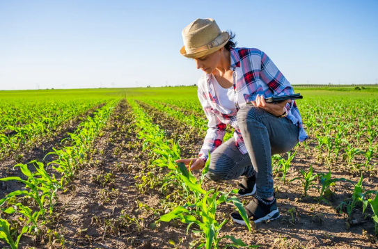 No one knows the ag industry better than farmers.

But too often, your voice gets left out of the conversation.

Help us change that.

Add your perspective to our next survey: 

stratusresearch.com/sign-up

#AgResearch #Agriculture