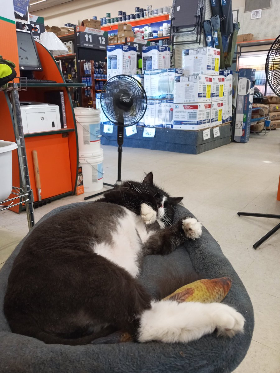 AubuchonHrdware's tweet image. How this heat wave has us like… ☀️
Allenstown, NH