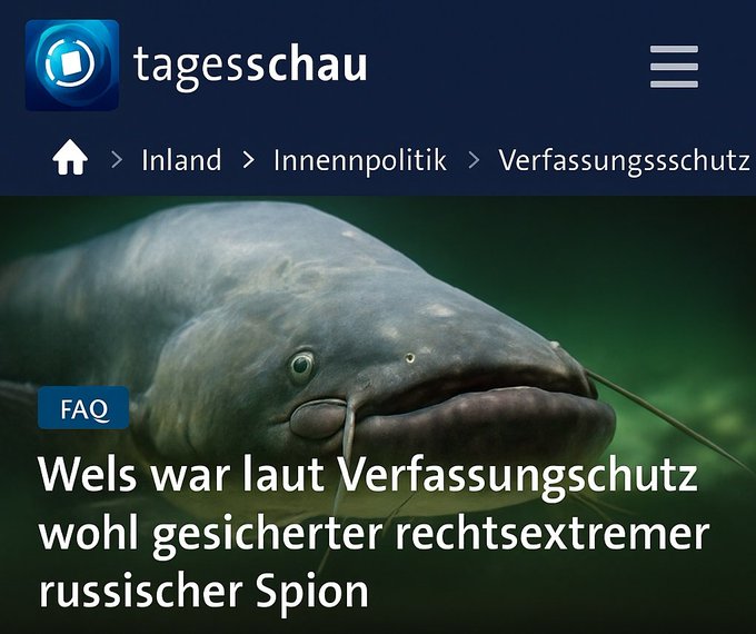 Hab ich mir gleich gedacht...!