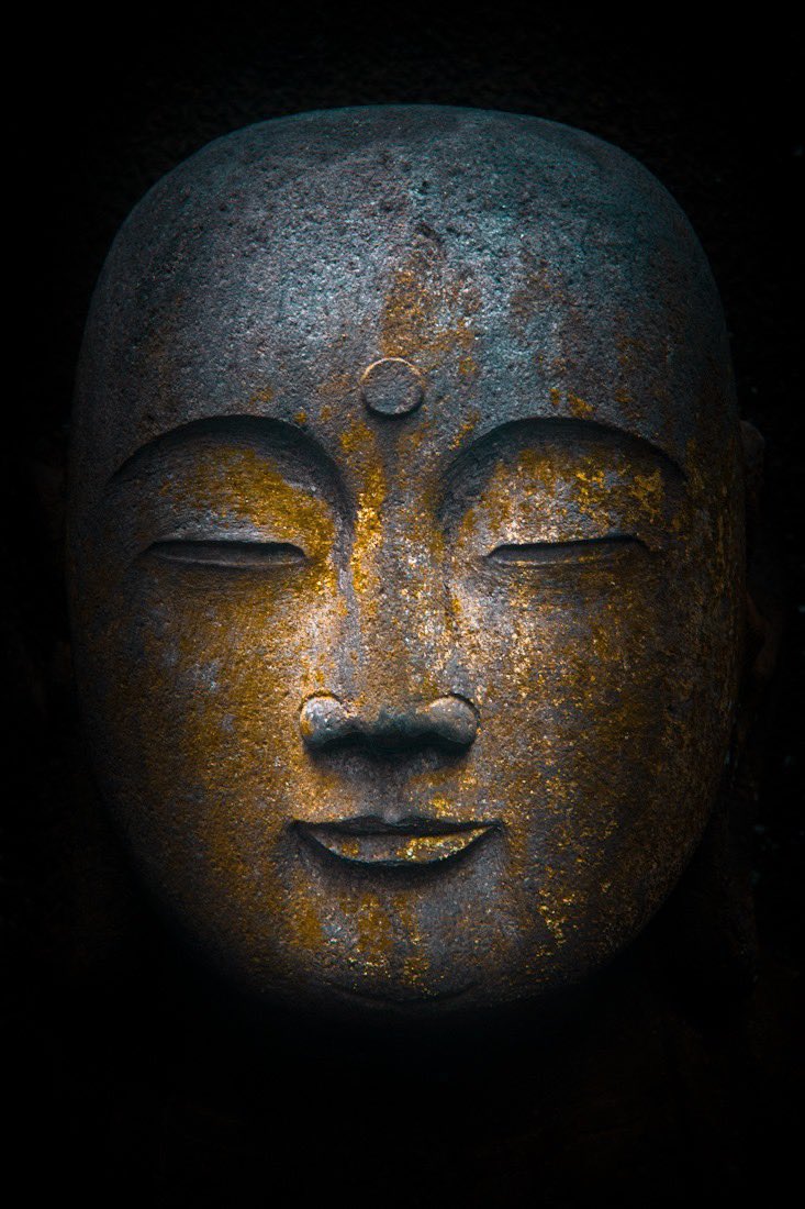 Buddha Project tweet media