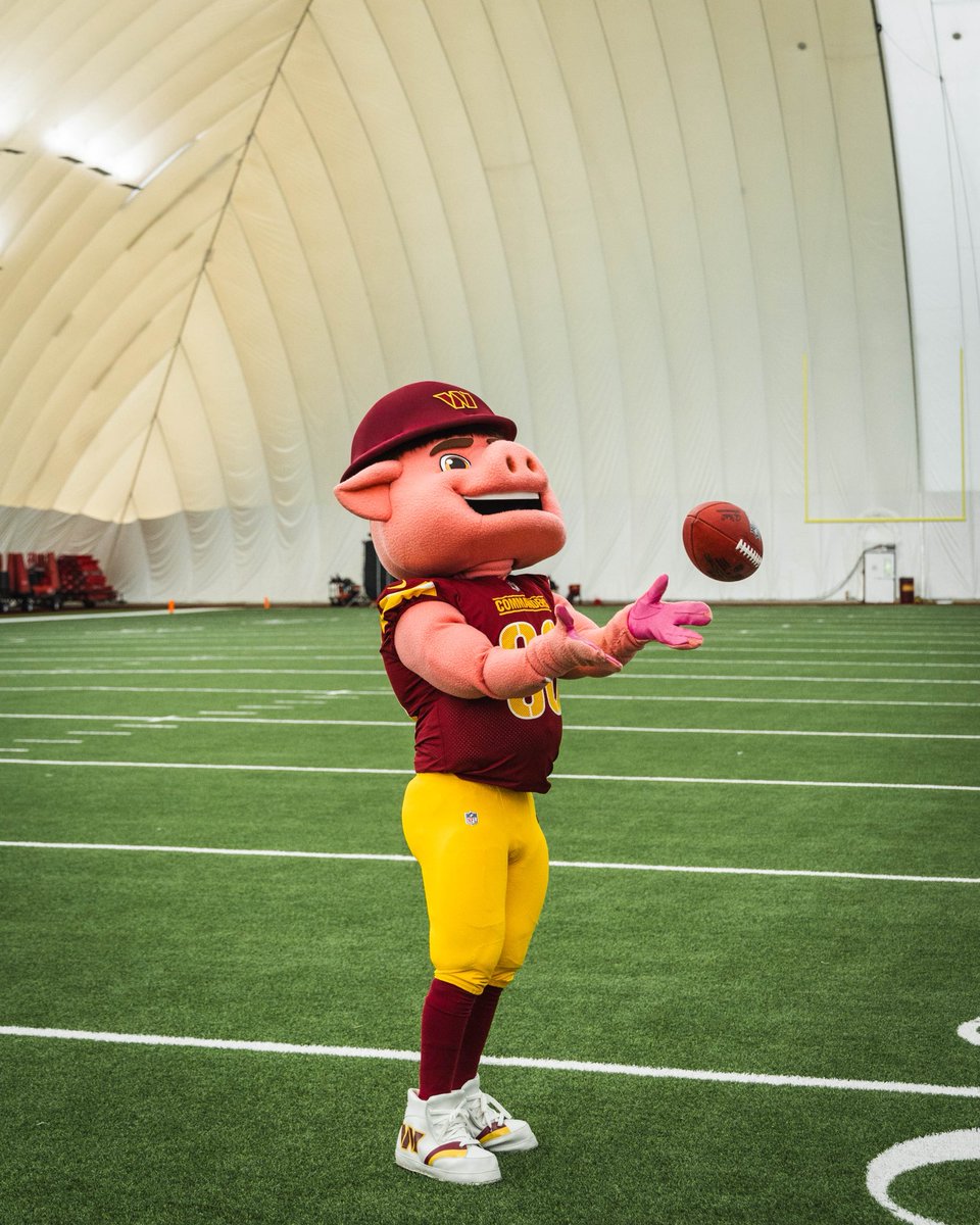 MajorTuddy's tweet image. here’s some more media day me 📸