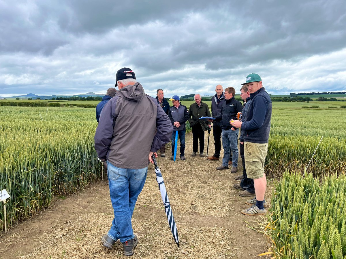 Just A Farmer tweet media