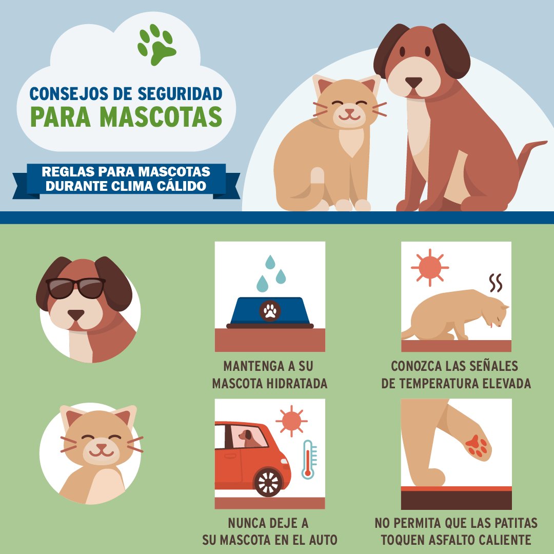 Keep pets safe from heat. Keep them hydrated, don’t leave them in cars or outdoors &amp; keep paws off hot pavement. 
Protege mascotas del calor. Mantenlas hidratadas, no las dejes en autos ni afuera, y mantén sus patas alejadas del pavimento caliente. Info: ow.ly/Nh4250WfwgL