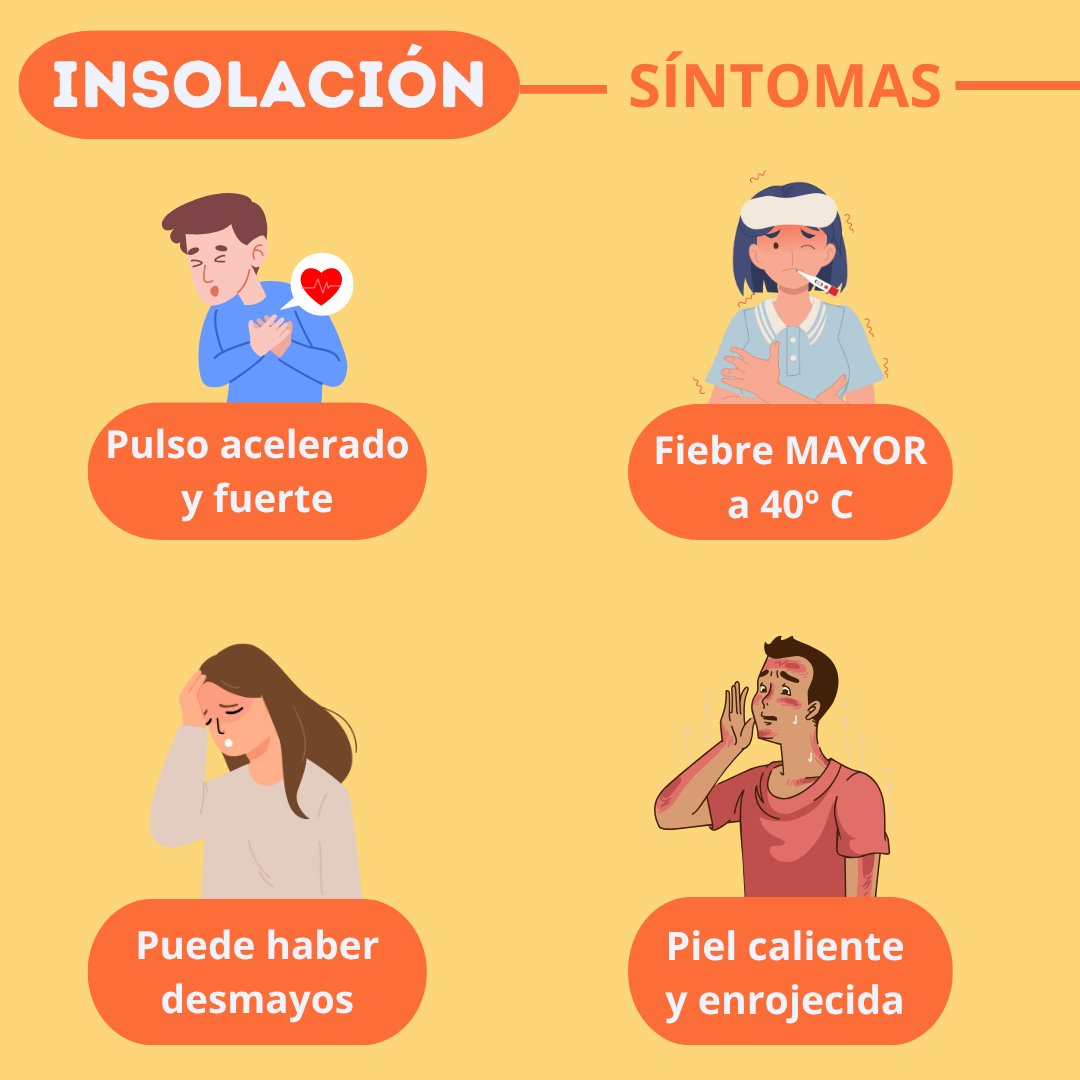 Seprex_PRL's tweet photo. Si trabajas al aire libre o en ambientes calurosos, ten en cuenta estas recomendaciones:
✅ Hidrátate con frecuencia, incluso si no tienes sed.
✅ Usa ropa clara y transpirable.
✅ Toma descansos en lugares frescos o con sombra.

📞 924 84 78 88 | 📧 seprex@seprex.net https://t.co/wDYt3HQGil