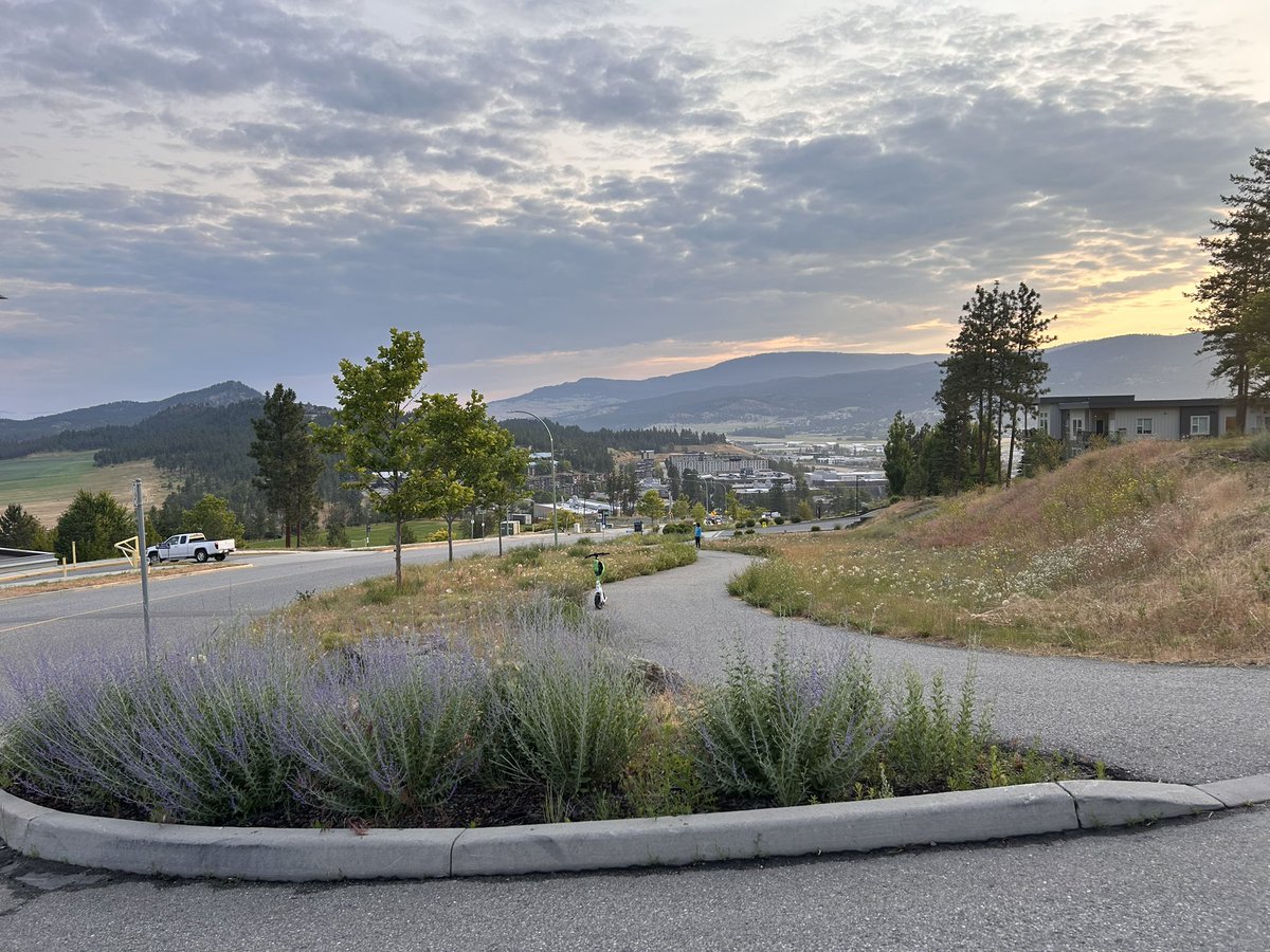 H.P. Vasantha Rupasinghe tweet media